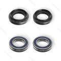 Drive Unit Rotor Bearing Kit (with grooves)